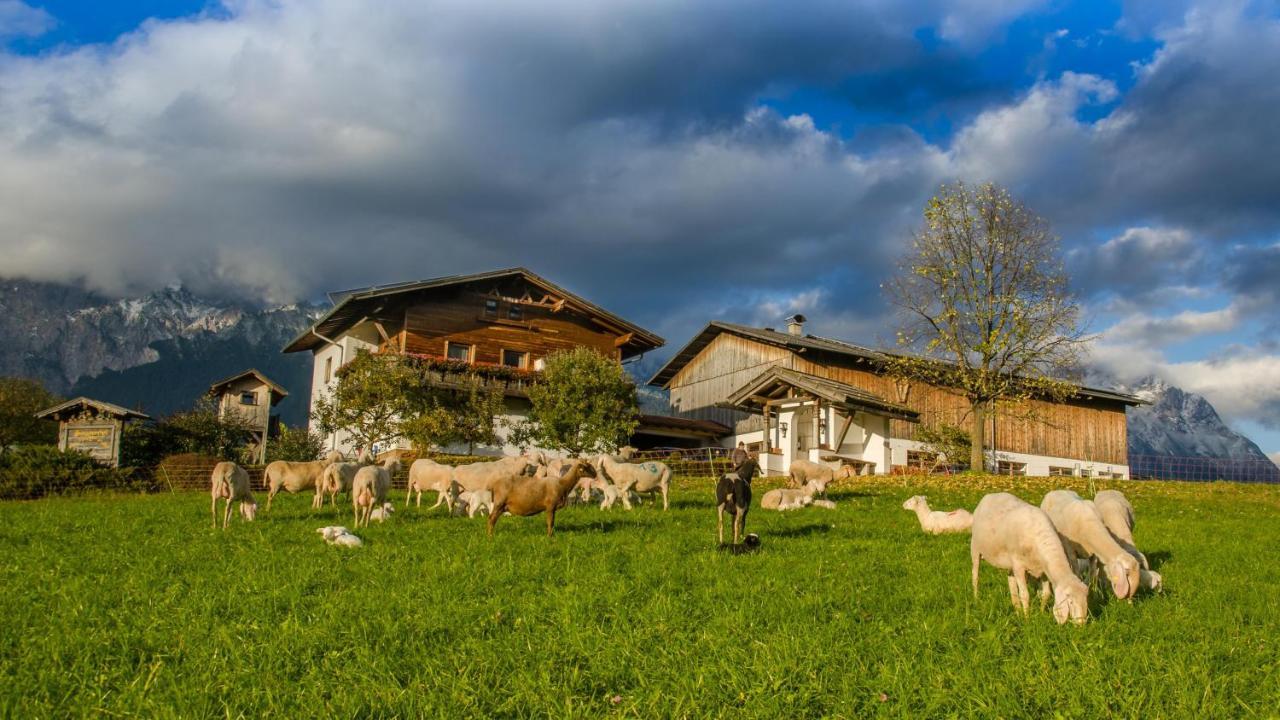 Ferienwohnung Schuchterhof มีมิง ภายนอก รูปภาพ